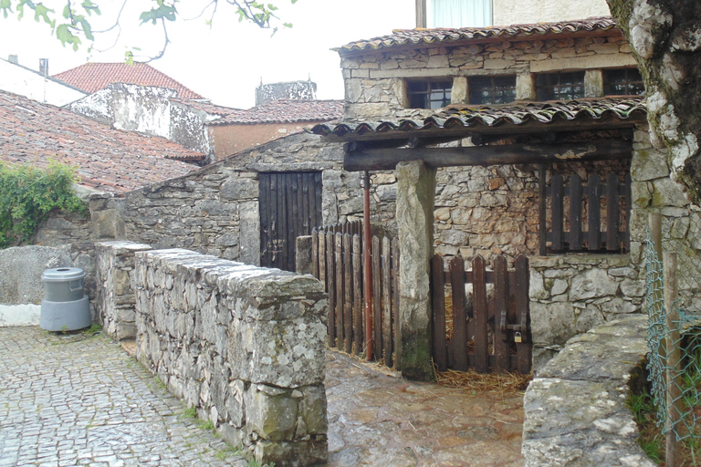 Excursão particular de meio dia às Maravilhas de FátimaMaravilhas de Fátima: Excursão pela Capital Religiosa