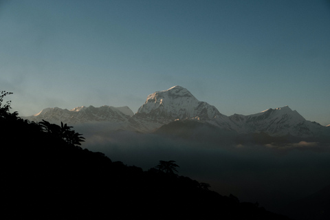 2-Day Ghorepani Poon Hill Short Trek from Pokhara