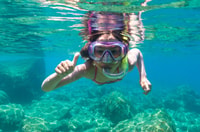 Olbia, Dolphin Watching und Schnorcheln Bootstour - Hizvo