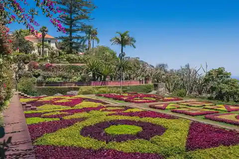 Visite guidée en tuk-tuk du jardin botanique (depuis Funchal)