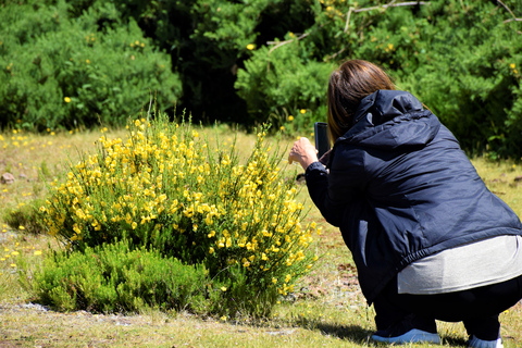 Madeira: 2-daagse complete eilandtour2 daagse excursie