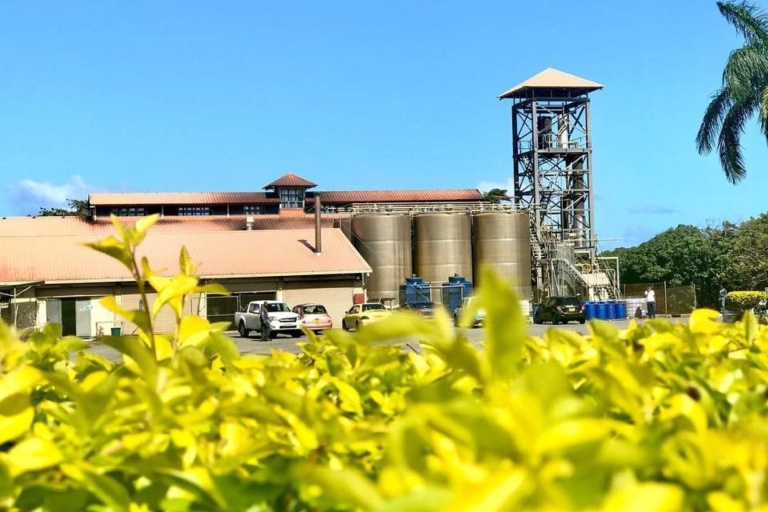 Wilder Süden: Rhumerie StAubin, Bois Cherri Teefabrik &Mittagessen