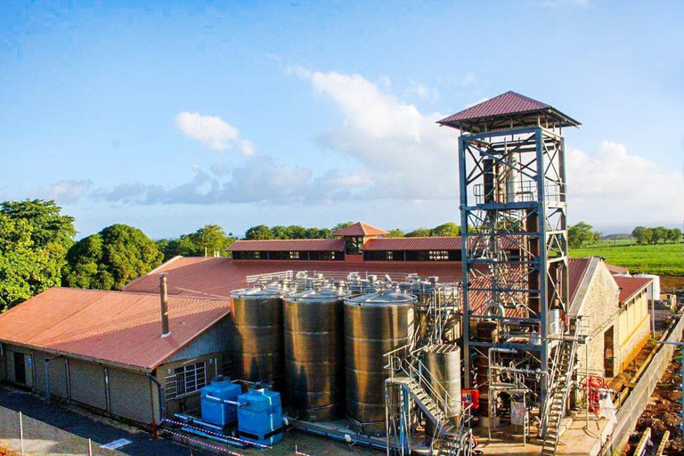 Dzikie Południe: Rhumerie St Aubin, fabryka herbaty Bois Cherri i lunch