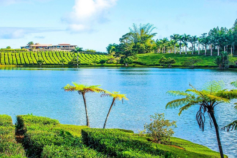 Dzikie Południe: Rhumerie St Aubin, fabryka herbaty Bois Cherri i lunch