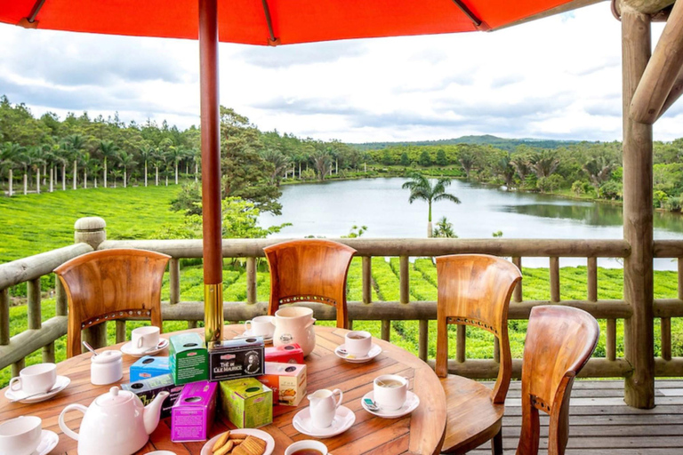 Dzikie Południe: Rhumerie St Aubin, fabryka herbaty Bois Cherri i lunch
