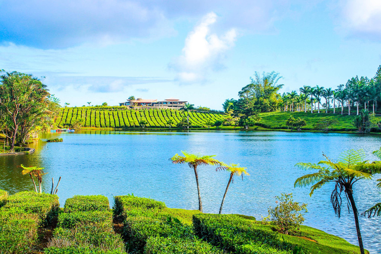 Dzikie Południe: Rhumerie St Aubin, fabryka herbaty Bois Cherri i lunch