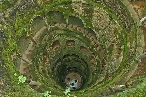 Sintra: Palazzo Pena, Regaleira, Cabo da Roca, Tour di un giorno intero