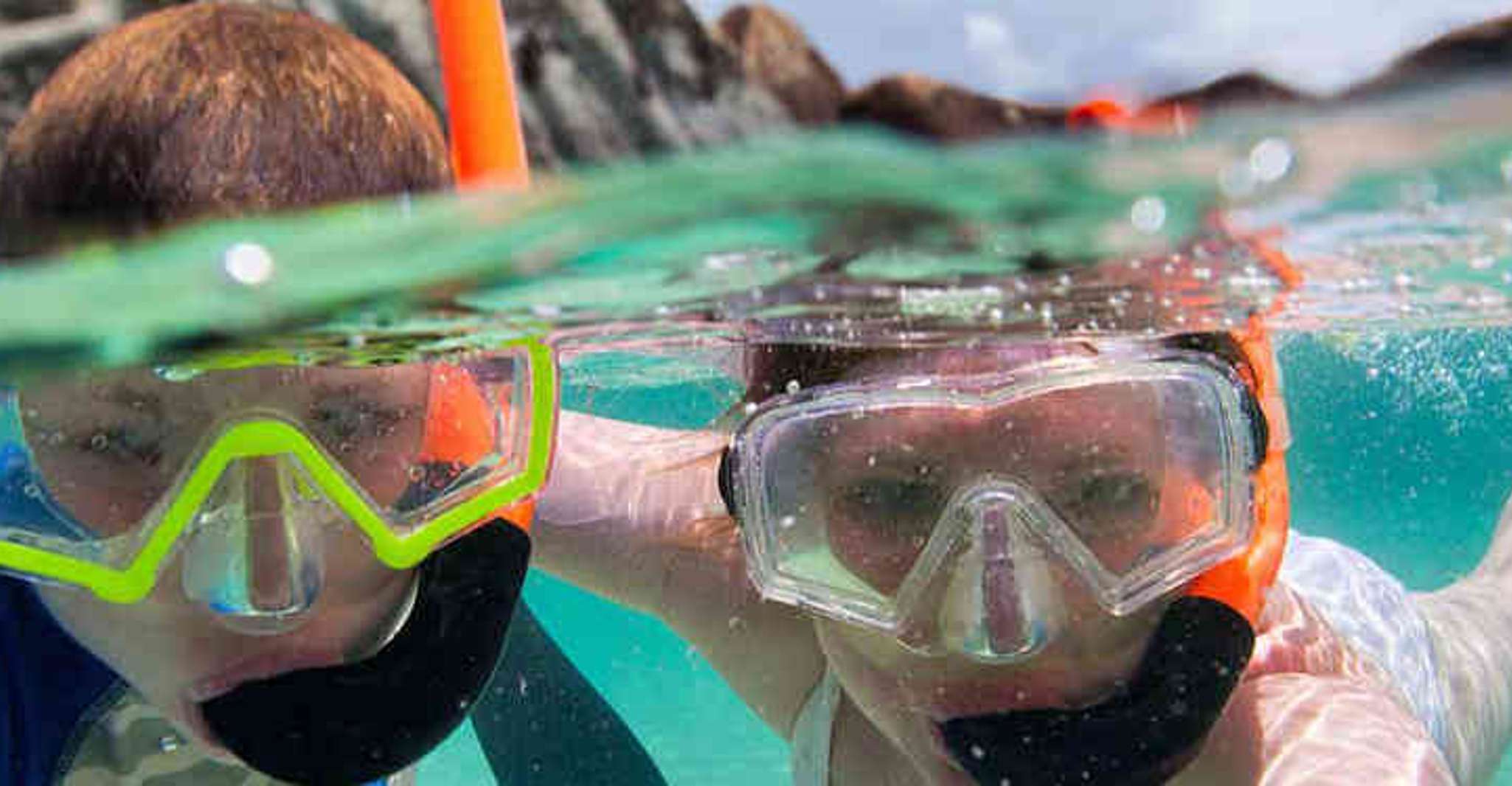 Olbia, Dolphin Watching and Snorkeling Boat Tour - Hizvo