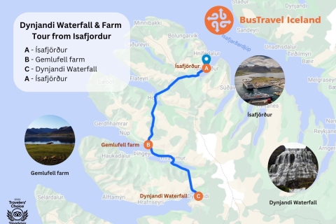 Isafjordur : Visite de la cascade de Dynjandi et visite d'une ferme islandaise