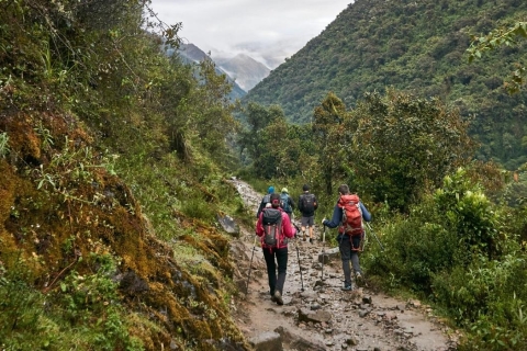 Desde Cusco: Salkantay trek 5 días 4 noches
