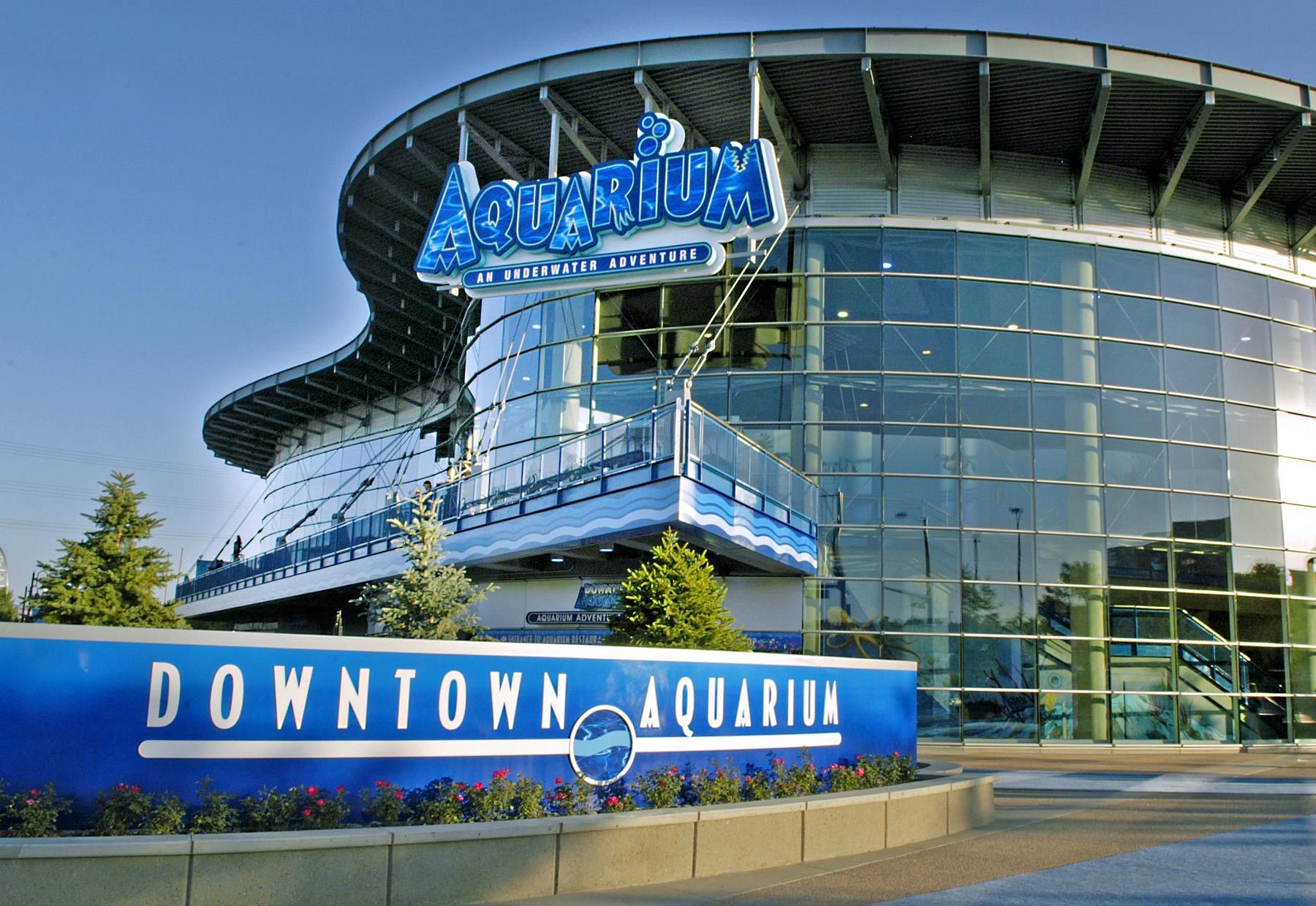 Denver: Downtown Aquarium Ganztagespass