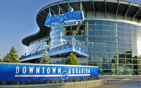 Denver: Downtown Aquarium All-Day Pass