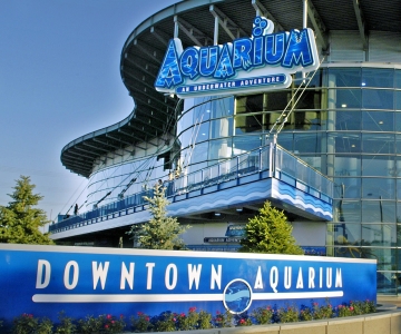 Denver: Downtown Aquarium All-Day Pass