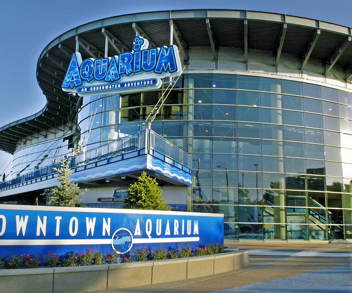 Denver: Downtown Aquarium All-Day Pass