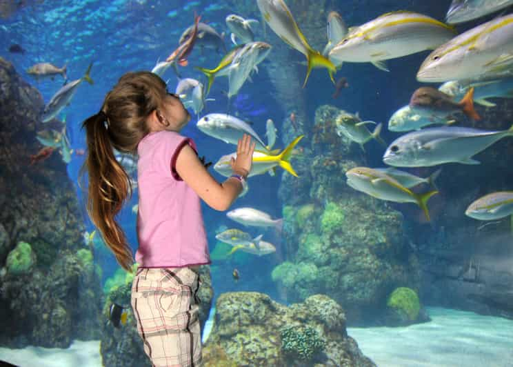 Denver Downtown Aquarium AllDay Pass GetYourGuide