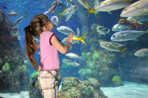 Denver: Downtown Aquarium All-Day Pass