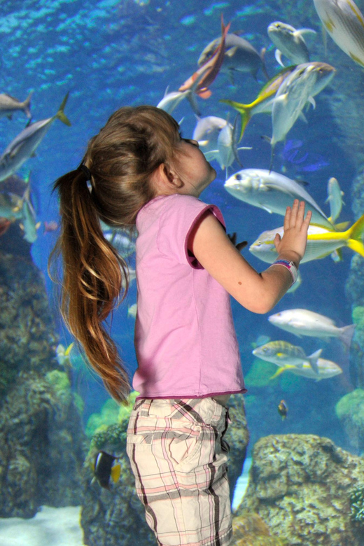 Denver Pase de un día para el acuario del centro GetYourGuide