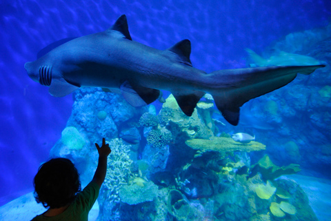 Denver: Downtown Aquarium All-Day Pass
