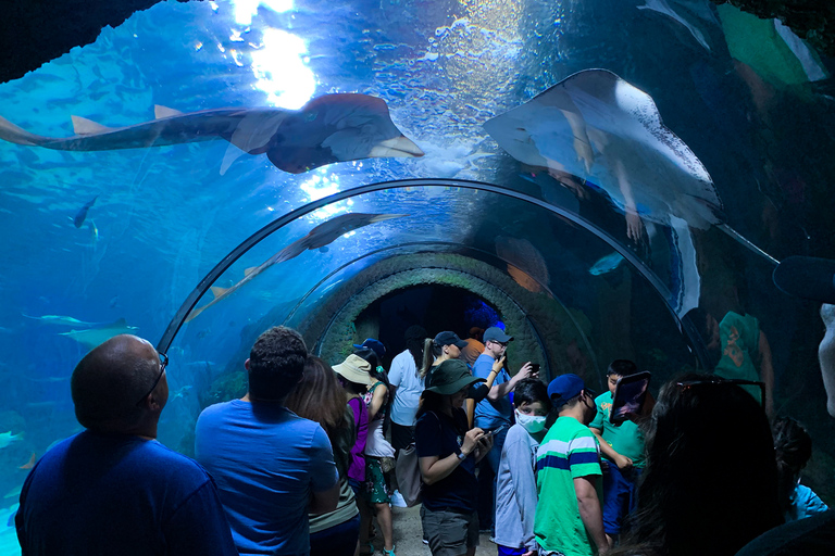 Denver: Downtown Aquarium All-Day Pass