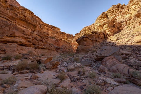 Z Wadi Rum: 2-dniowa przygoda piesza i wycieczka jeepem