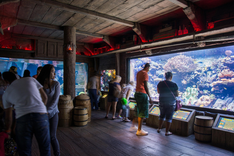 Houston: Downtown Aquarium All Day Pass