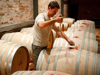 Tour du Cap, des caves de demi-journée et des dégustations en petit groupe - Hizvo