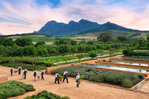 Kapstadt: Halbtägige Weingüter und Verkostungen Kleingruppentour