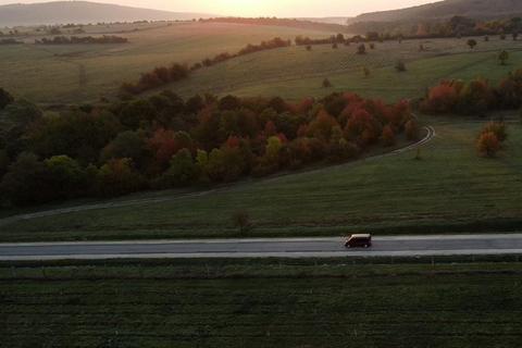 Desde Budapest: excursión de un día a Bratislava en furgoneta