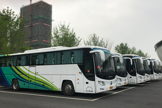 Shore Excursions