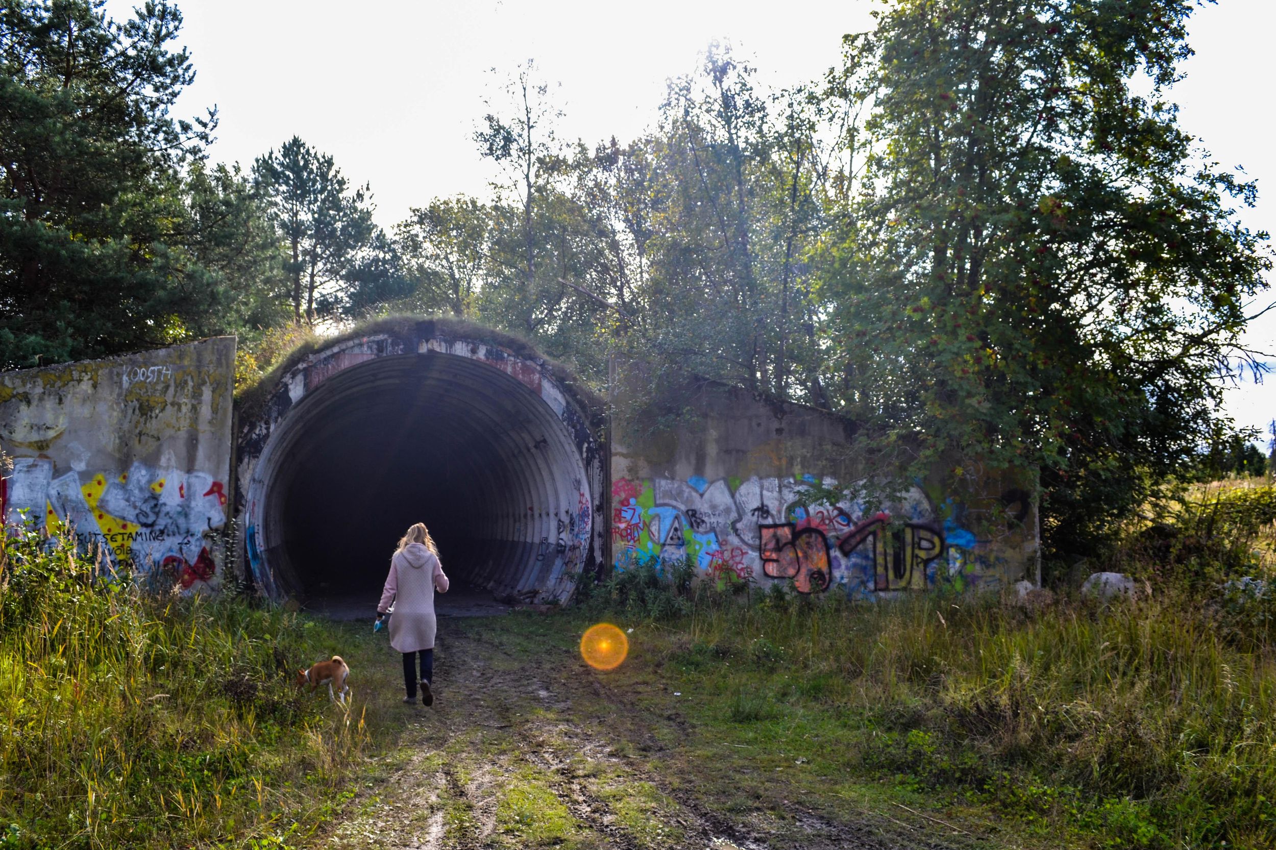 Tallinn: Hinter dem Eisernen Vorhang - Sowjetische Geheimnisse Geführte Tour