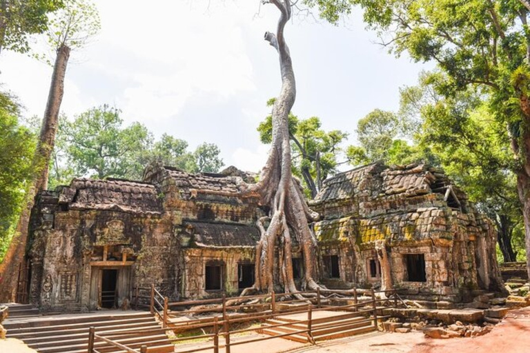 Visite privée d'une journée complète du parc archéologique d'Angkor