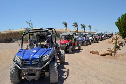 Hurghada: Quad and Buggy Safari with Dinner and ShowPickup from Hurghada City Hotels