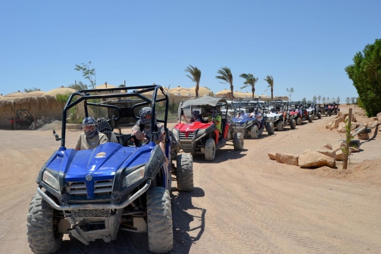 Hurghada: Quad and Buggy Safari with Dinner and Show