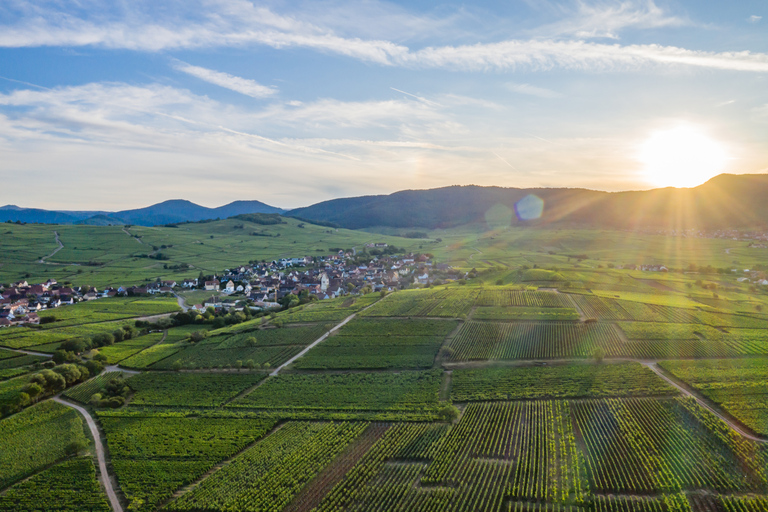 De Estrasburgo: viagem de 1 dia a vilarejos medievais e degustação de vinhos