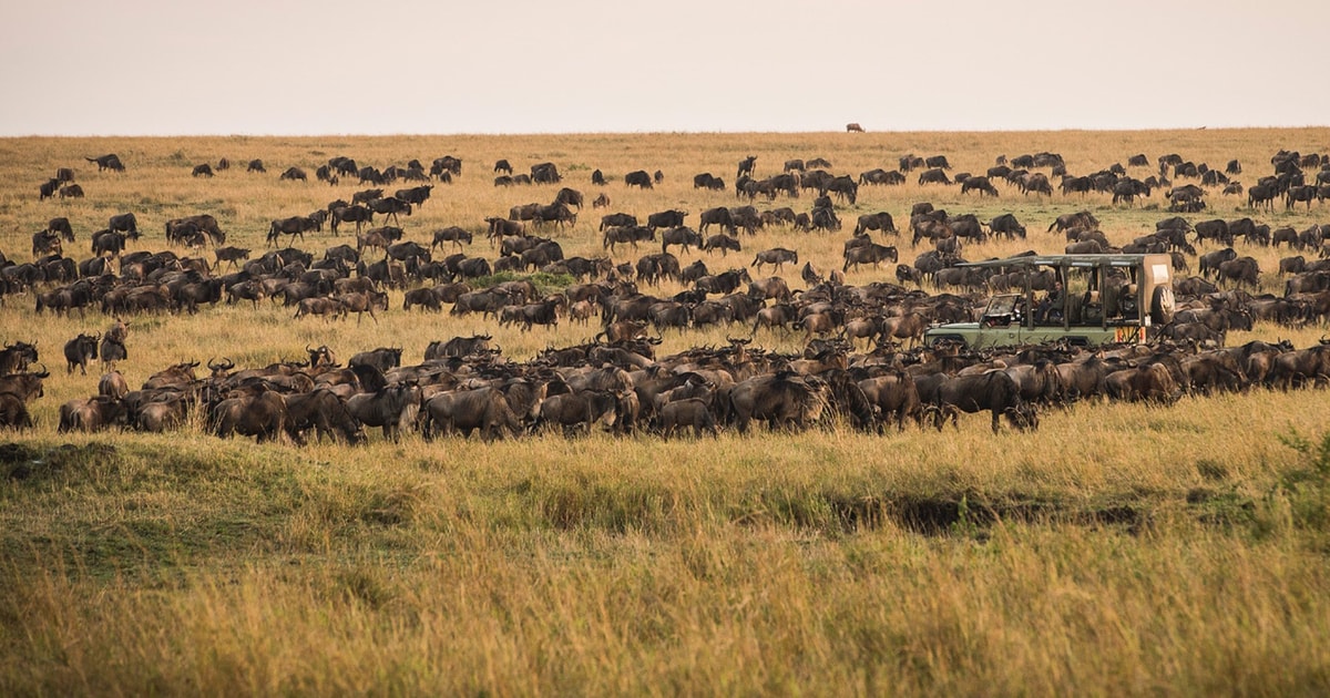 travel from dar es salaam to serengeti