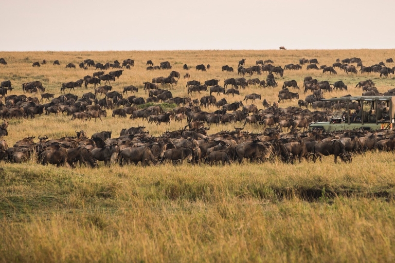 Dar es Salaam: 3-tägige Safari-Tour zur Serengeti und zum Ngorongoro
