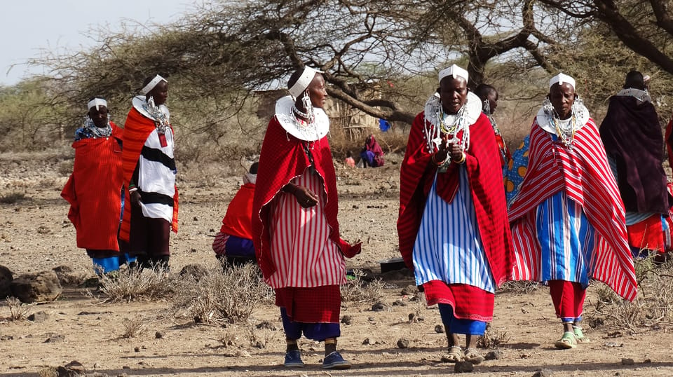 travel from dar es salaam to serengeti