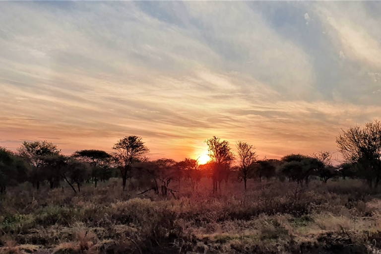Van Arusha: Serengeti Inside out