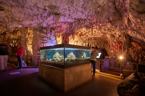 De Ljubljana: Lago Bled e caverna Postojna com ingressosDe Ljubljana: Lago Bled e Caverna Postojna com ingresso