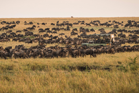 Från Zanzibar: Privat 4-dagars Serengeti &amp; Ngorongoro-safari