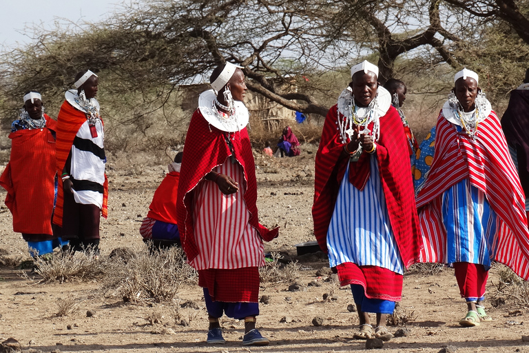 Au départ de Zanzibar : 3 jours de safari en avion vers le Serengeti et le Ngorongoro