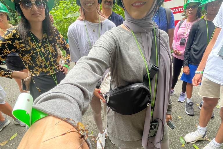 Depuis San Juan : Journée complète d'aventure dans les grottes et les chutes d'eau