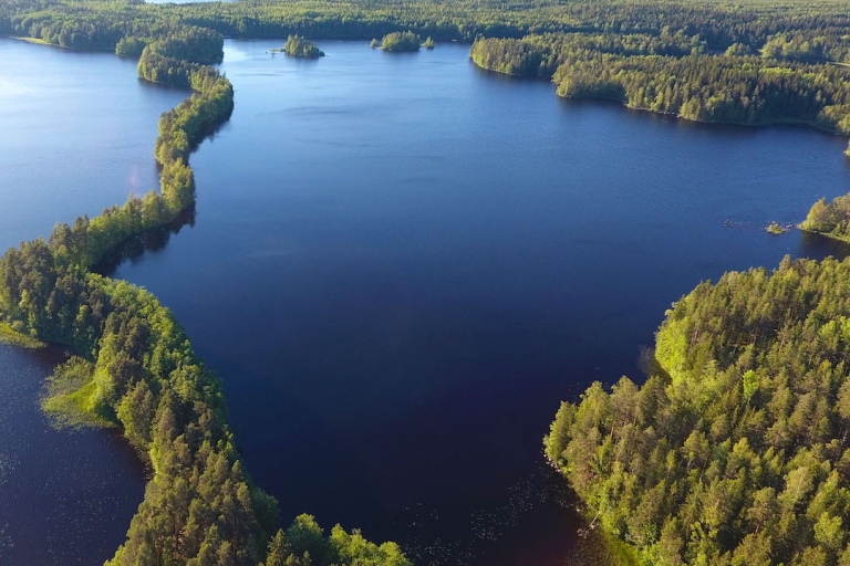 Vanuit Helsinki: Berry Picking Tour in een nationaal park