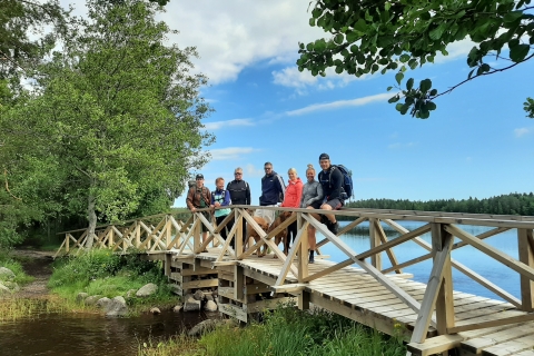 Depuis Helsinki : Cueillette de baies dans un parc national