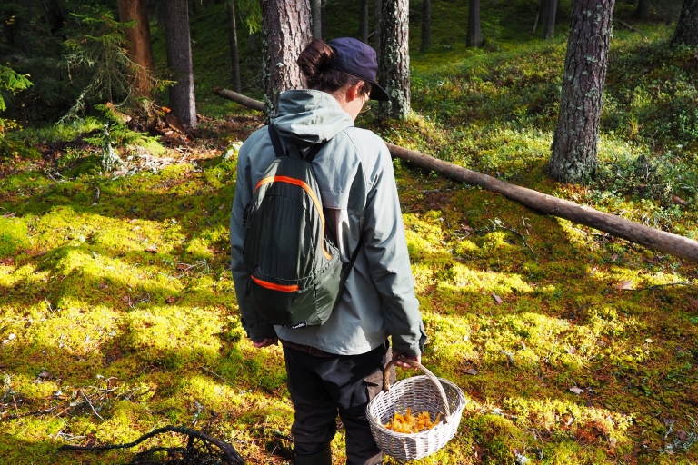 Vanuit Helsinki: paddenstoelenjachttour in een nationaal park