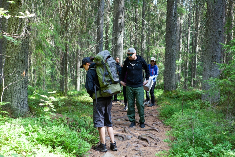 From Helsinki: Mushroom Hunting Tour in a National Park