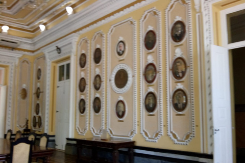 Privat stadsvandring i Manaus historiska centrumPrivat tur i staden