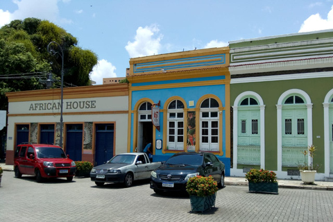 Privat stadsvandring i Manaus historiska centrumPrivat tur i staden