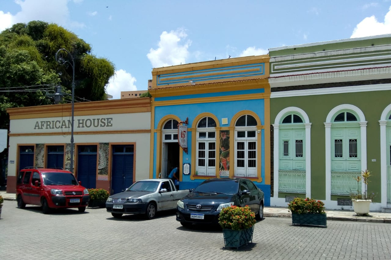 Tour privado de la ciudad en el centro histórico de ManaosTour de la ciudad privado