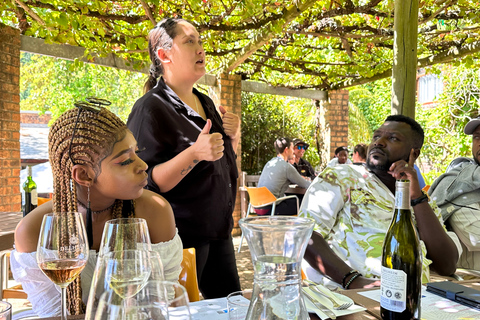 Cape Town: visite partagée d'une journée de Cape WinelandsDu Cap: visite partagée d'une journée des vignobles du Cap